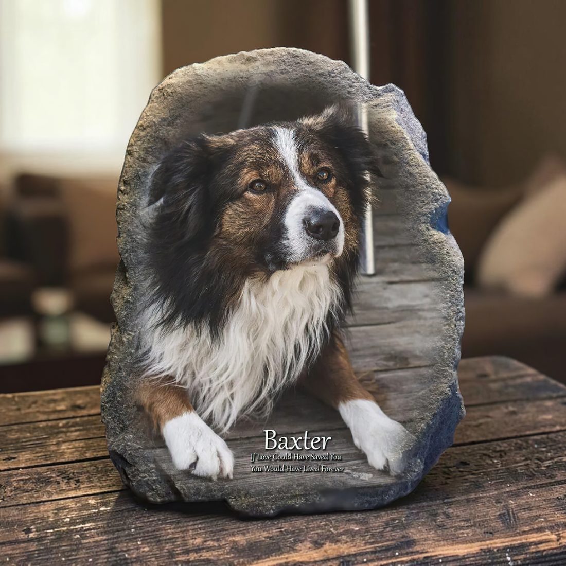Memorial stone of Baxter, a tri-colour dog, with the verse If Love Could Have Saved You, You Would Have Lived Forever