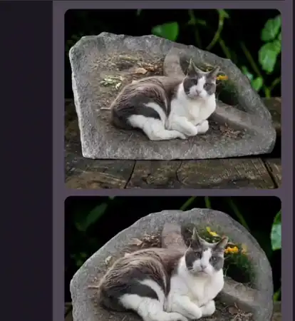 Scrolling through proof options for a cat memorial stone